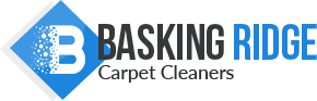 Basking-Ridge-Carpet-Cleaners-logo